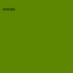 5d8700 - Avocado color image preview