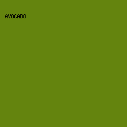 64840E - Avocado color image preview