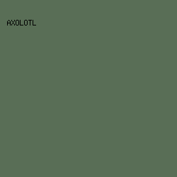 596E56 - Axolotl color image preview