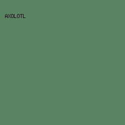 5A8562 - Axolotl color image preview