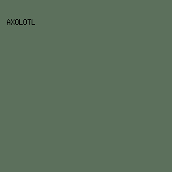 5C705C - Axolotl color image preview
