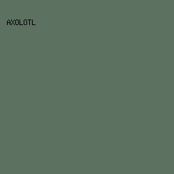 5D7160 - Axolotl color image preview