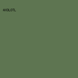 5E7551 - Axolotl color image preview