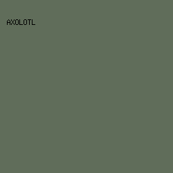 606D5A - Axolotl color image preview