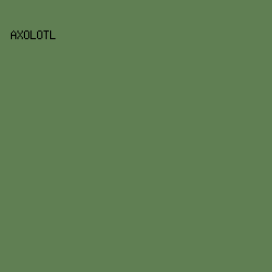 607f53 - Axolotl color image preview