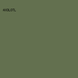 63704F - Axolotl color image preview