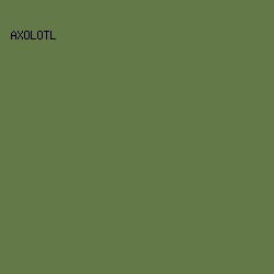 637A48 - Axolotl color image preview