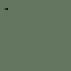 647560 - Axolotl color image preview