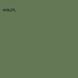 657855 - Axolotl color image preview