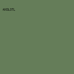 657D59 - Axolotl color image preview