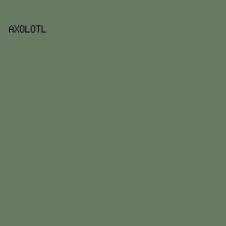 667B62 - Axolotl color image preview