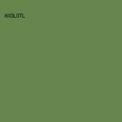 66864E - Axolotl color image preview