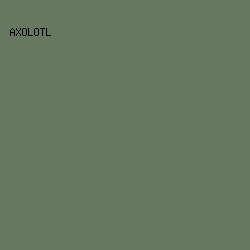 677862 - Axolotl color image preview