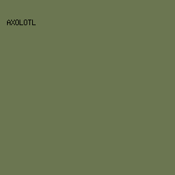 6B7651 - Axolotl color image preview