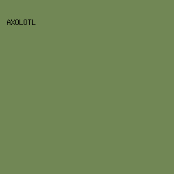 718755 - Axolotl color image preview