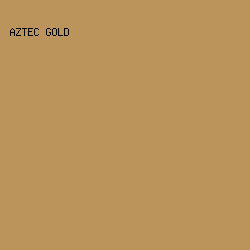 BA945B - Aztec Gold color image preview