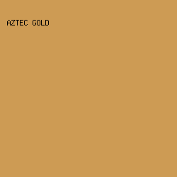 cd9b54 - Aztec Gold color image preview