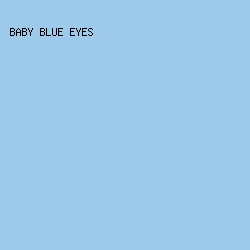 9DCAEB - Baby Blue Eyes color image preview