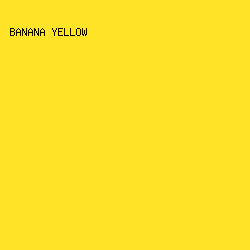 FEE326 - Banana Yellow color image preview