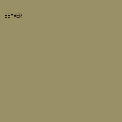 9A9065 - Beaver color image preview