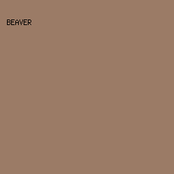 9B7B66 - Beaver color image preview