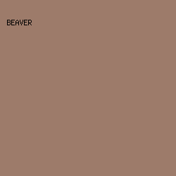 9D7B6A - Beaver color image preview