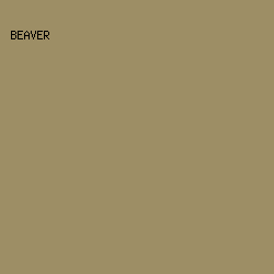9D8E65 - Beaver color image preview