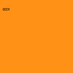 FF9216 - Beer color image preview