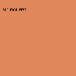 E0885C - Big Foot Feet color image preview