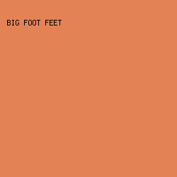 E38355 - Big Foot Feet color image preview