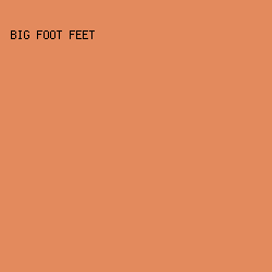 E38A5D - Big Foot Feet color image preview