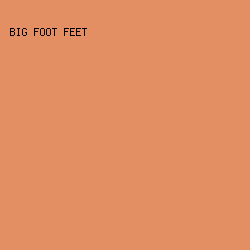E48E63 - Big Foot Feet color image preview