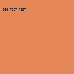 E58756 - Big Foot Feet color image preview