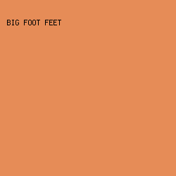E68C57 - Big Foot Feet color image preview