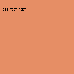 E68E65 - Big Foot Feet color image preview