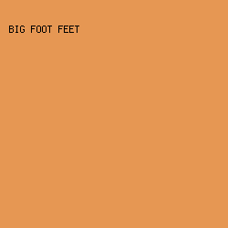 E69753 - Big Foot Feet color image preview