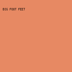 E78963 - Big Foot Feet color image preview