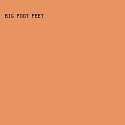 E79362 - Big Foot Feet color image preview