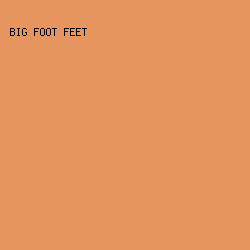 E7955E - Big Foot Feet color image preview