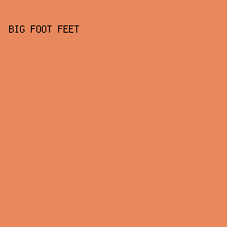 E8895D - Big Foot Feet color image preview