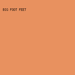 E8915F - Big Foot Feet color image preview