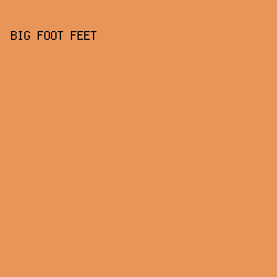 E8955A - Big Foot Feet color image preview