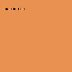 E99151 - Big Foot Feet color image preview