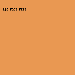 E99852 - Big Foot Feet color image preview