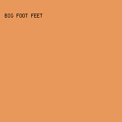E9985B - Big Foot Feet color image preview