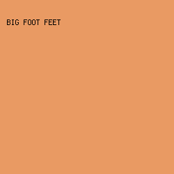 E99A63 - Big Foot Feet color image preview