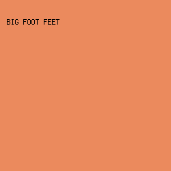 EB8A5D - Big Foot Feet color image preview