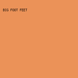 EB9258 - Big Foot Feet color image preview