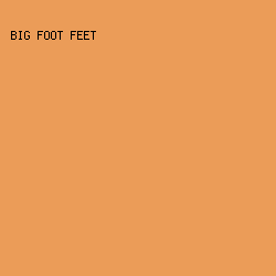 EB9C58 - Big Foot Feet color image preview