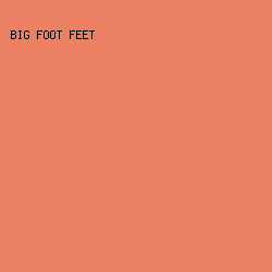 EC8063 - Big Foot Feet color image preview